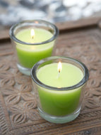 Peppermint and Eucalyptus